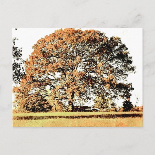 Lebensbaum Postkarte (Vorderseite)