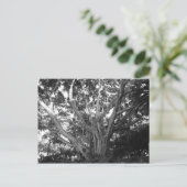 Lebensbaum Postkarte (Stehend Vorderseite)