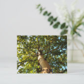 Lebensbaum Postkarte (Stehend Vorderseite)