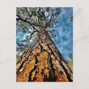 Lebensbaum Postkarte