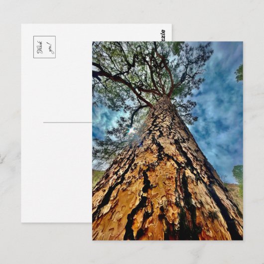 Lebensbaum Postkarte (Vorne/Hinten)