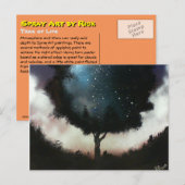 Lebensbaum Postkarte (Vorne/Hinten)