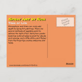 Lebensbaum Postkarte (Rückseite)