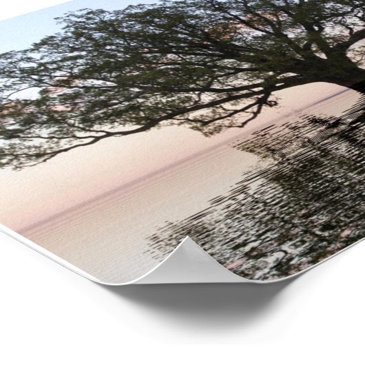 Lebensbaum (Reflektionen) Poster (Ecke)