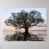 Lebensbaum (Reflektionen) Poster (Vorne)
