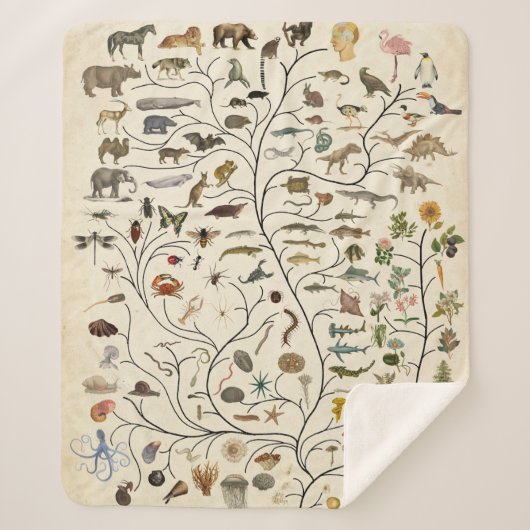 Lebensbaum Sherpadecke (Vorderseite)