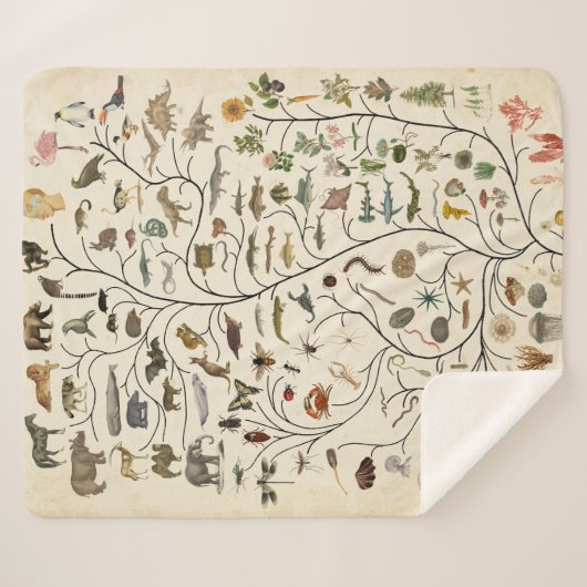 Lebensbaum Sherpadecke (Vorderseite (Horizontal))