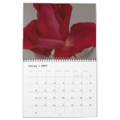 Lebensdauer eines Rose-Kalenders Kalender (Jan 2027)