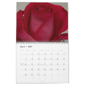 Lebensdauer eines Rose-Kalenders Kalender (Mär 2027)