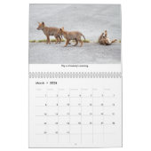 Lebenserfahrungen Wildtierkalender Kalender (Mär 2026)