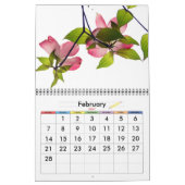 Lebensfarbe Kalender (Feb 2027)