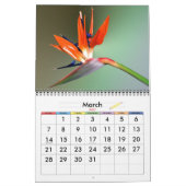 Lebensfarbe Kalender (Mär 2027)