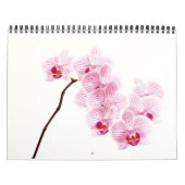 Lebensfarbe Kalender (Titelbild)