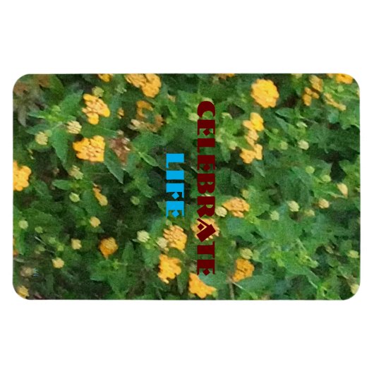 Lebensfeier Flexible Magnet (Horizontal)