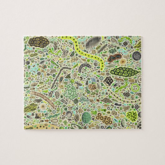 Lebensformen Puzzle (Horizontal)