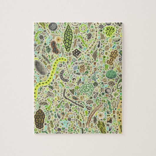 Lebensformen Puzzle (Vertikal)