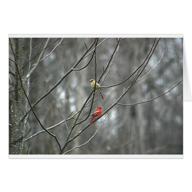 Lebensgefährte (Vorderseite (Horizontal))