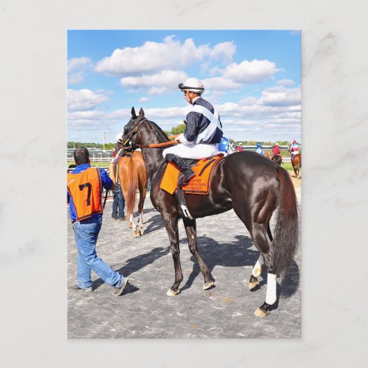 Lebensgeschichte Postkarte (Vorderseite)