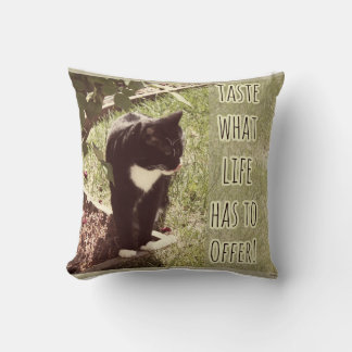 Lebensgeschmack motivierendes Cat Slogan Design Kissen