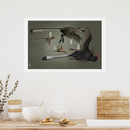 Lebensgröße Sansoriopterygien Poster (Küche)