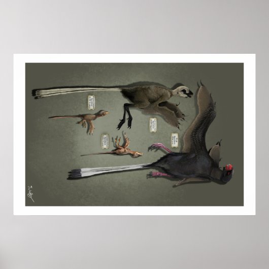 Lebensgröße Sansoriopterygien Poster (Vorne)