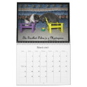 Lebenskalender einer Katze Kalender (Mär 2027)