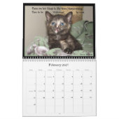 Lebenskalender einer Katze Kalender (Feb 2027)