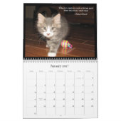 Lebenskalender einer Katze Kalender (Jan 2027)