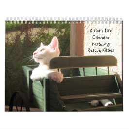 Lebenskalender einer Katze - mit lustigen Zitaten Kalender