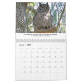 Lebensläufe Tierkalender Kalender (Mär 2027)