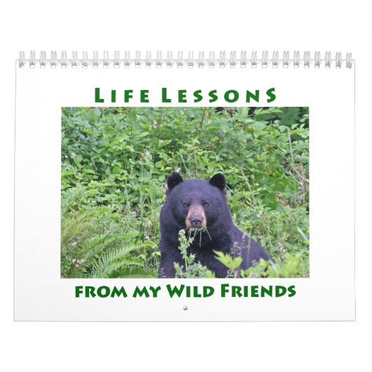 Lebensläufe Tierkalender Kalender (Titelbild)