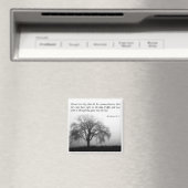 Lebensmagnet Magnet (In Situ (Geschirrspüler))