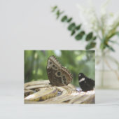 Lebensmittel für Schmetterlinge Postkarte (Stehend Vorderseite)