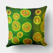 Lebensmittel Kissen (Rückseite)