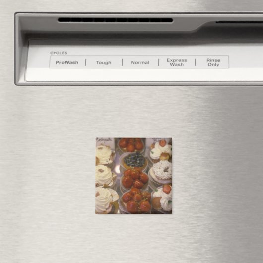 Lebensmittel Magnet (In Situ (Geschirrspüler))