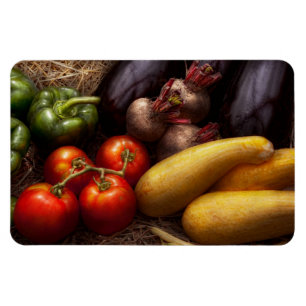 Lebensmittel - Paprika, Tomaten, Kürbis und Rüben Magnet