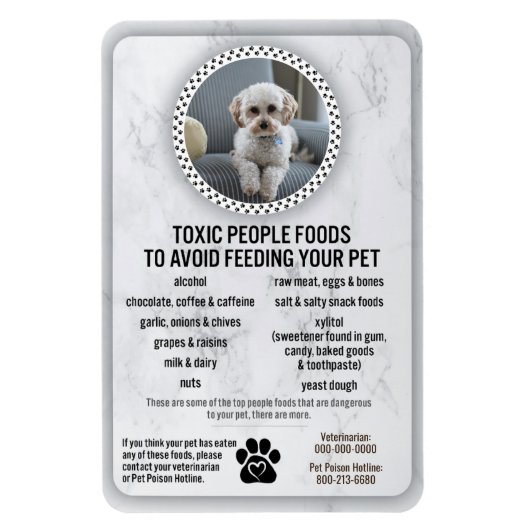 Lebensmittelsicherheit für Haustiere - Gefährliche Magnet (Vertikal)