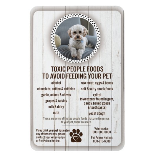 Lebensmittelsicherheit für Haustiere - Gefährliche Magnet (Vertikal)