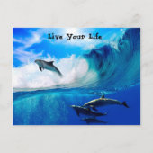 Lebensmotivation Postkarte (Vorderseite)