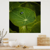 Lebenspunkt Poster (Küche)