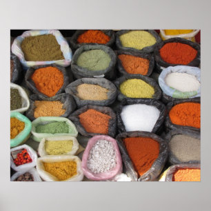 Lebensspass - 16x20 Poster