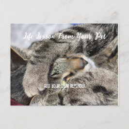 Lebensunterricht für Haustiere Feiertagspostkarte