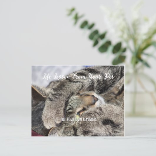 Lebensunterricht für Haustiere Feiertagspostkarte (Stehend Vorderseite)