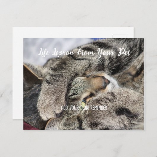 Lebensunterricht für Haustiere Feiertagspostkarte (Vorne/Hinten)