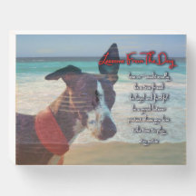 Lebensunterricht vom Hund