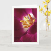 Lebensvorsprung Karte (Gelbe Blume)