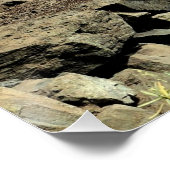 Lebensweg. Poster (Ecke)