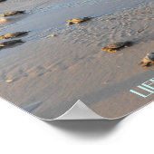 Lebensweg Seeschildkröten Poster (Ecke)