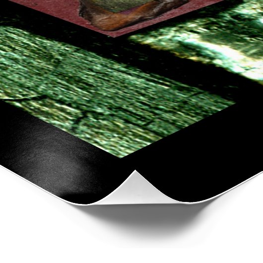 Lebensweise Poster (Ecke)