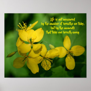 Lebensweisheit Zitat Wildblumen  Poster